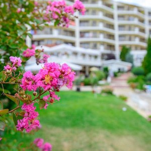 цветна градина в Park hotel Madara