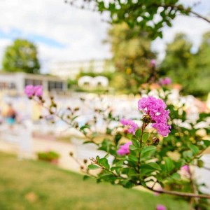 цветна градина в Park hotel Madara